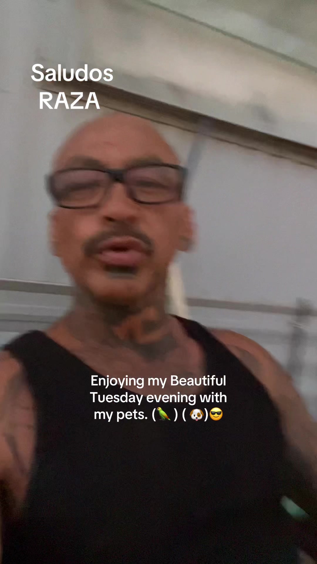 @chinoblue😎