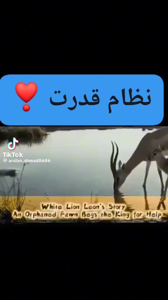 @🇬🇧 ALI boutaina 👑👑👑🌹🌹
