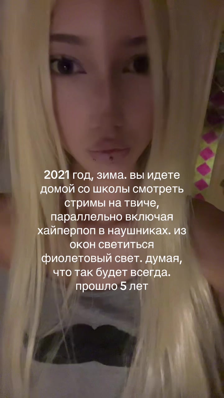 @сосна небесная