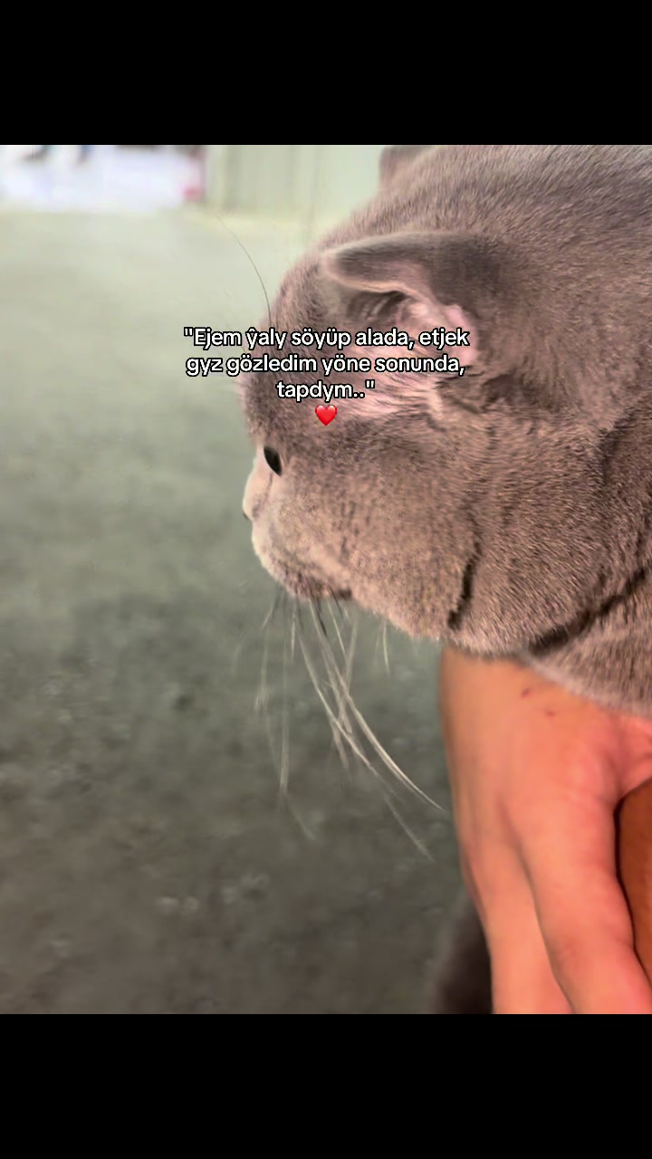 @ðð®ð¡ððŠðŠððð«ðð¡ð²ðŠï£¿ðïž