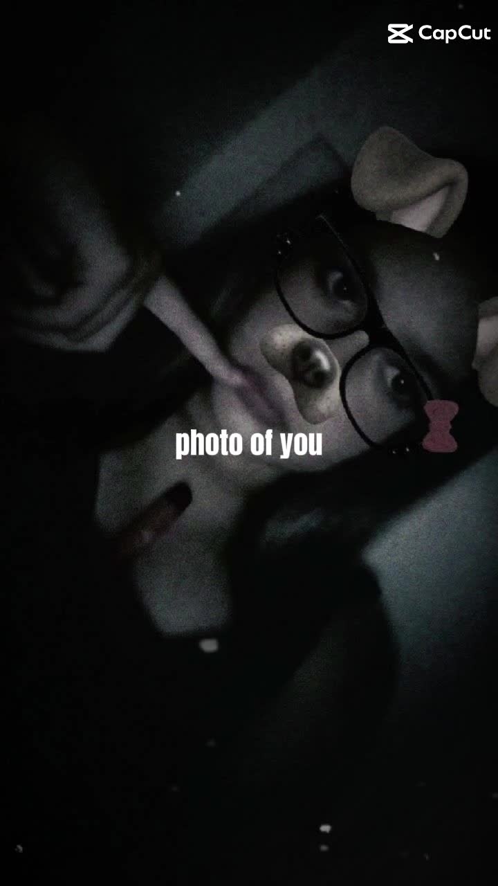 @ellietucker13