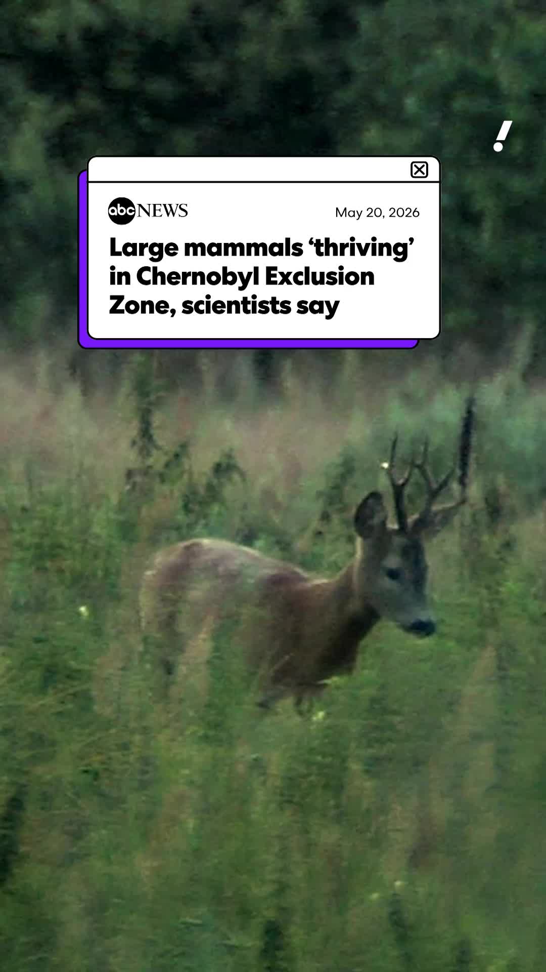 @Yahoo News