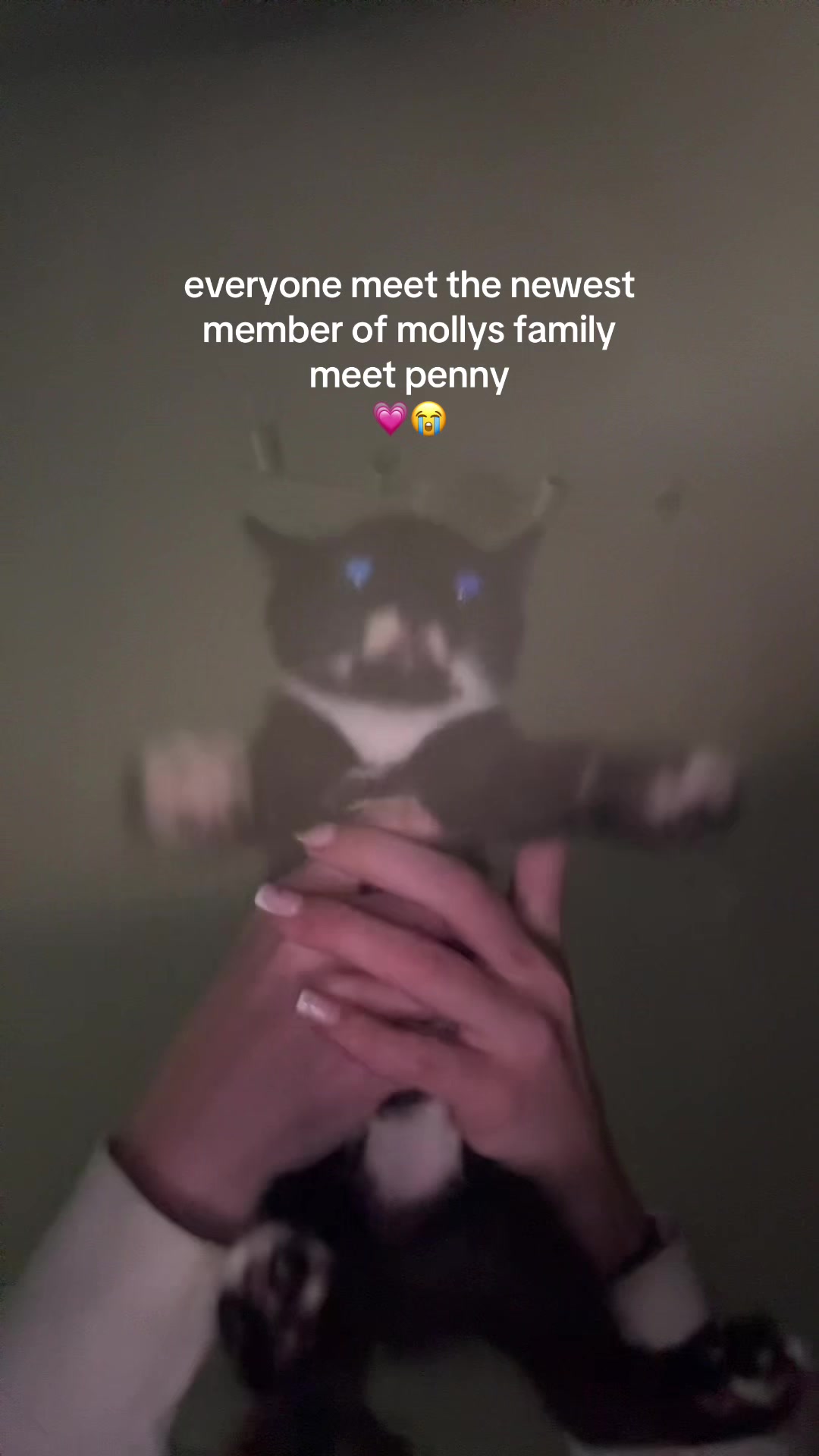 @molls 🤍🍦🧺🧸