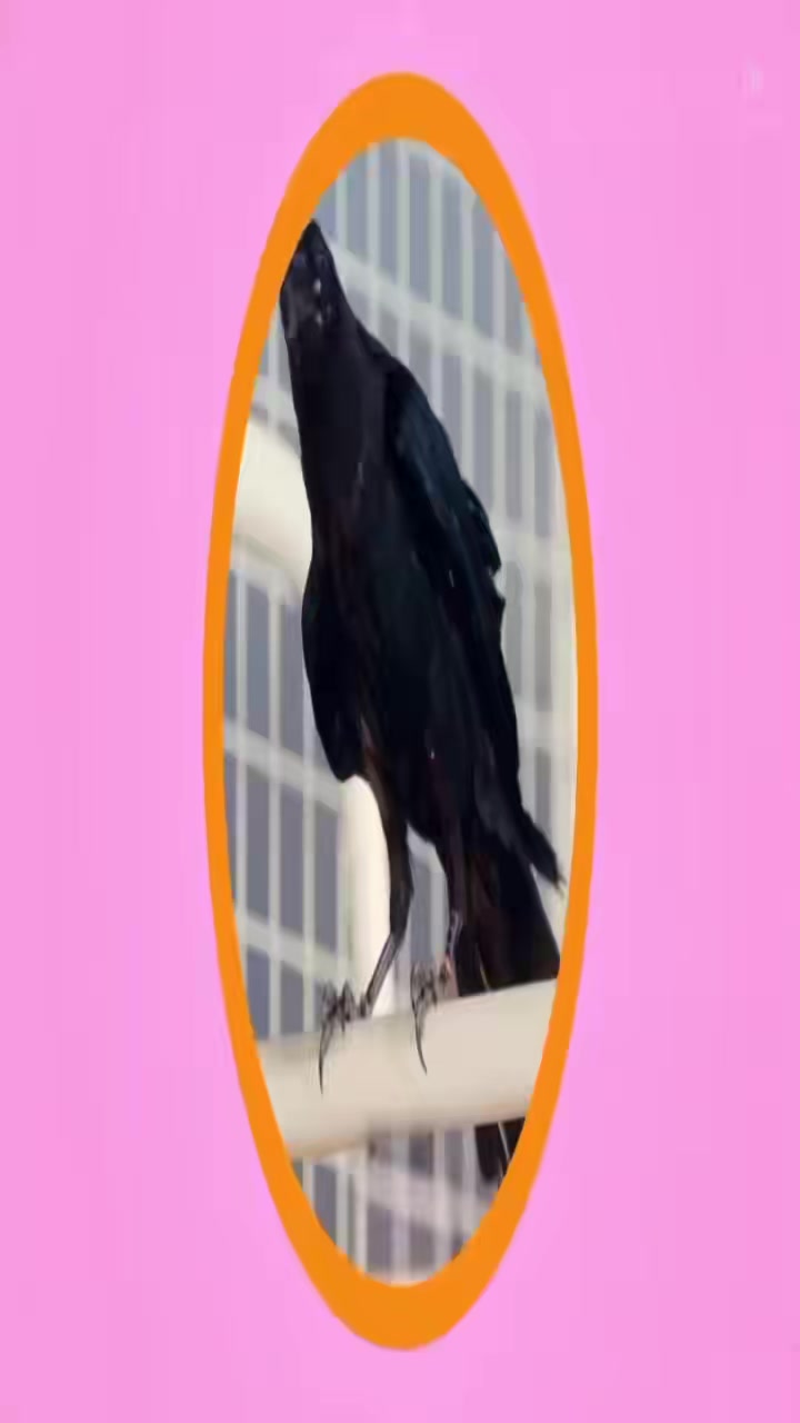 @Shurik ᵗʰᵉᵒ ᵛᵉʳᵎᵎ ⋆˚🧩˖