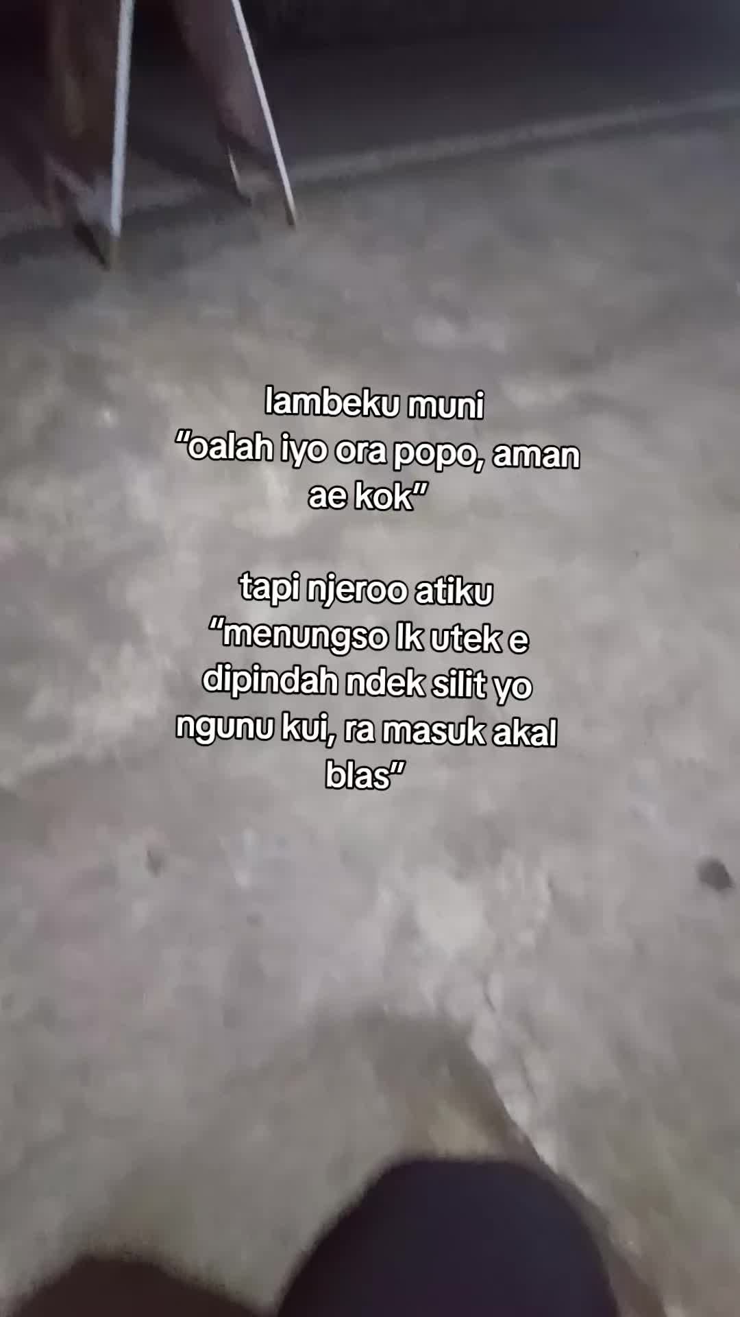 @☘︎ ᥫ᭡☻ᥫ᭡ඞ  ♌         🦟