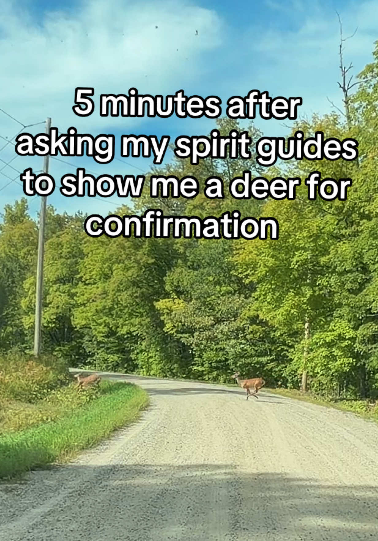 @girly ghost tales