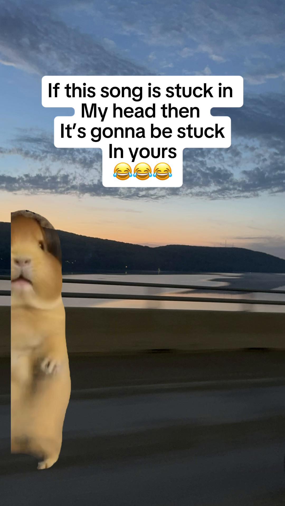 @Vbmomma