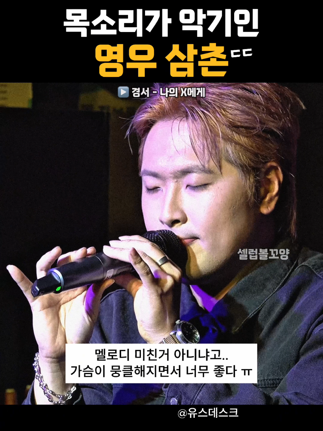 @셀럽볼꼬양