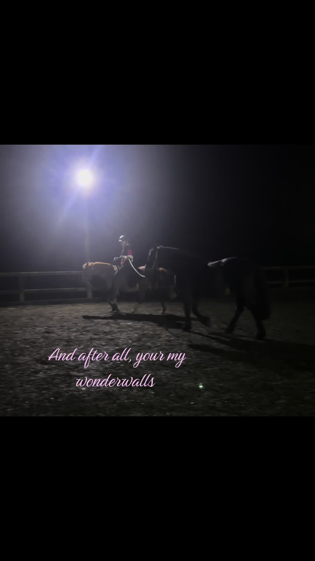 @My8hooves