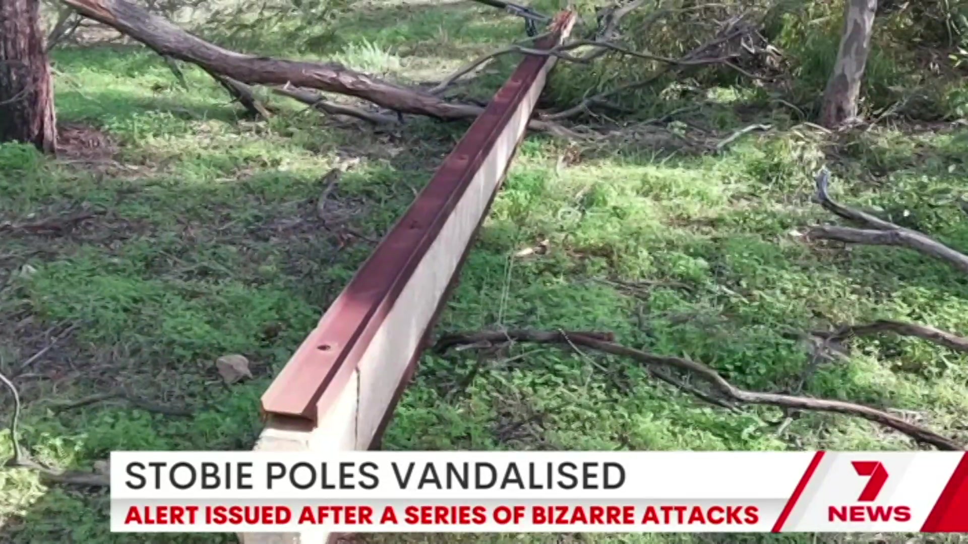 @7NEWSAdelaide