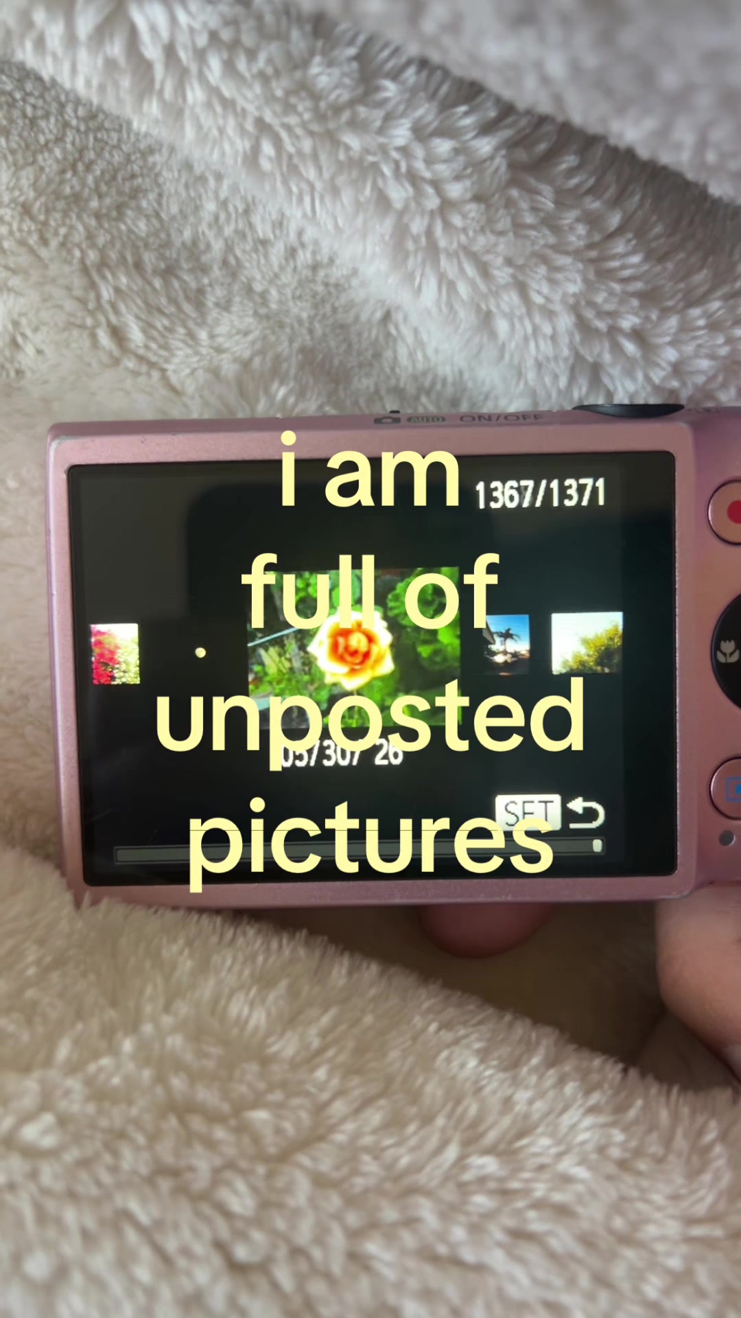@angel