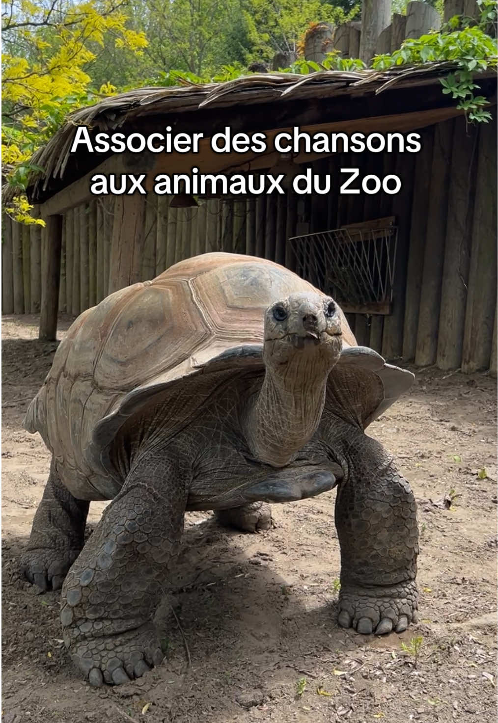 @Zoo de Granby