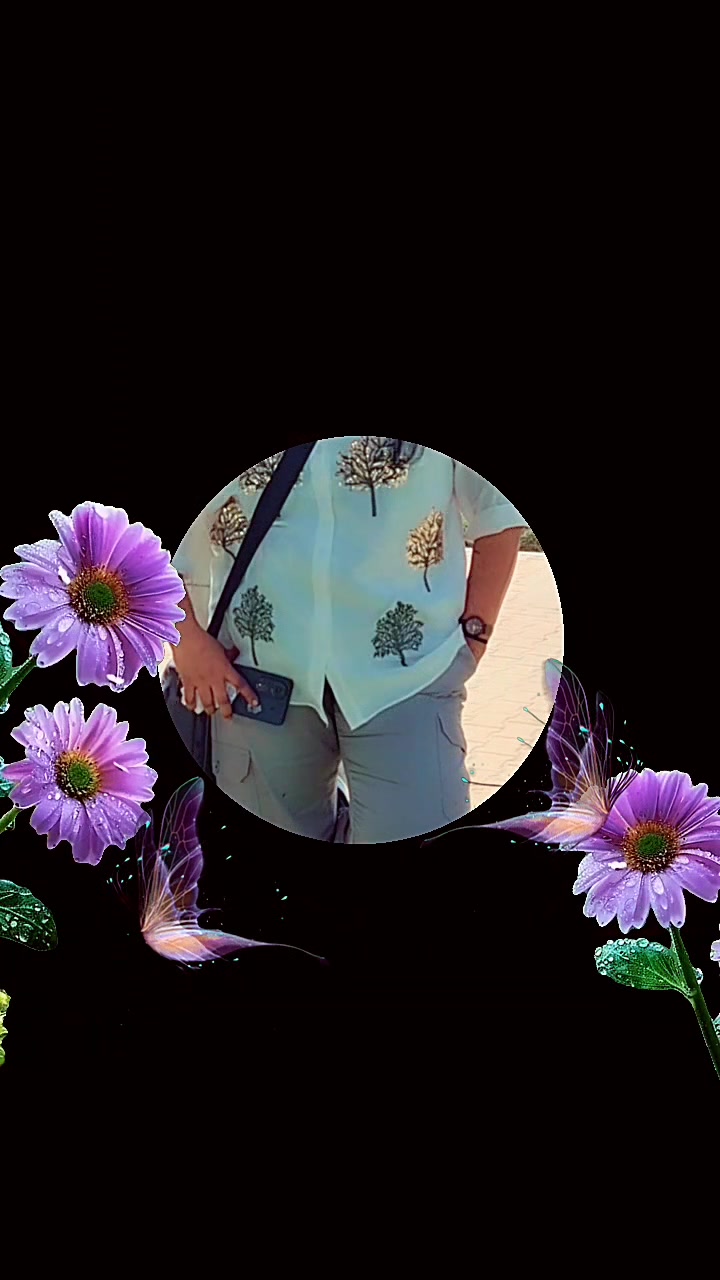 @lionledysafnarawdey