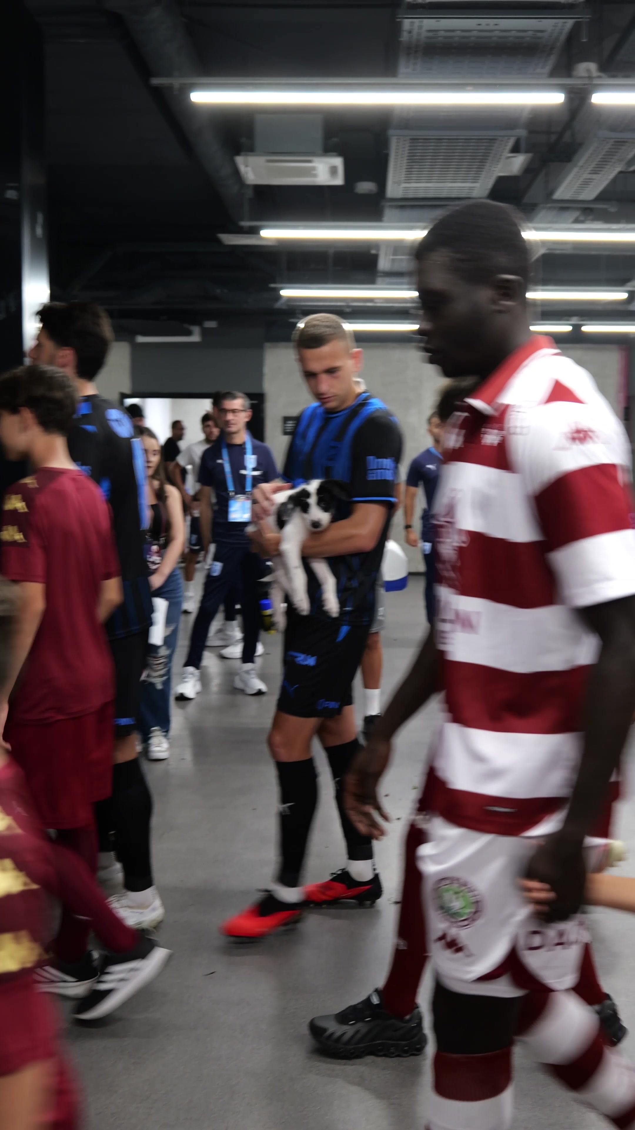 @FC Rapid