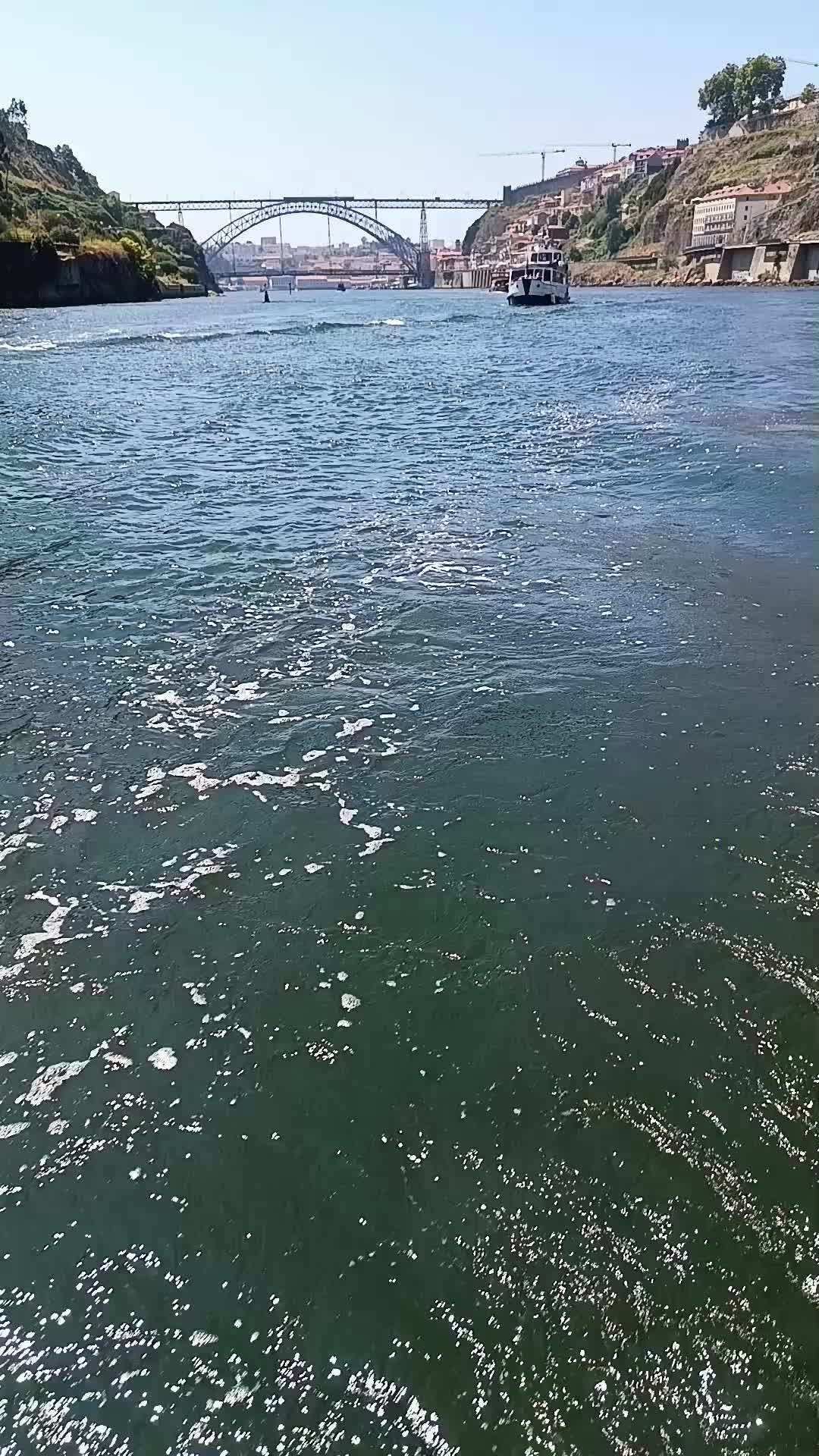 @porto ribeira