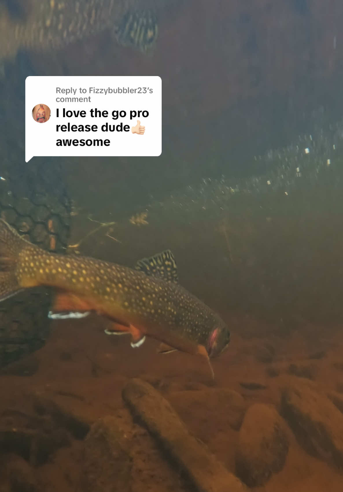 @FlyFishDelawhere