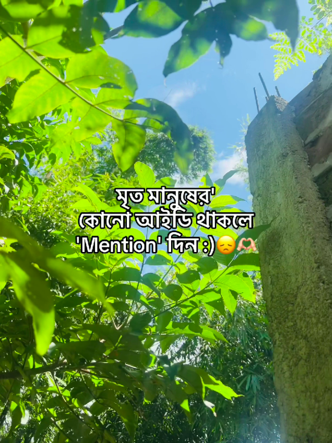 @টিক-টিকি