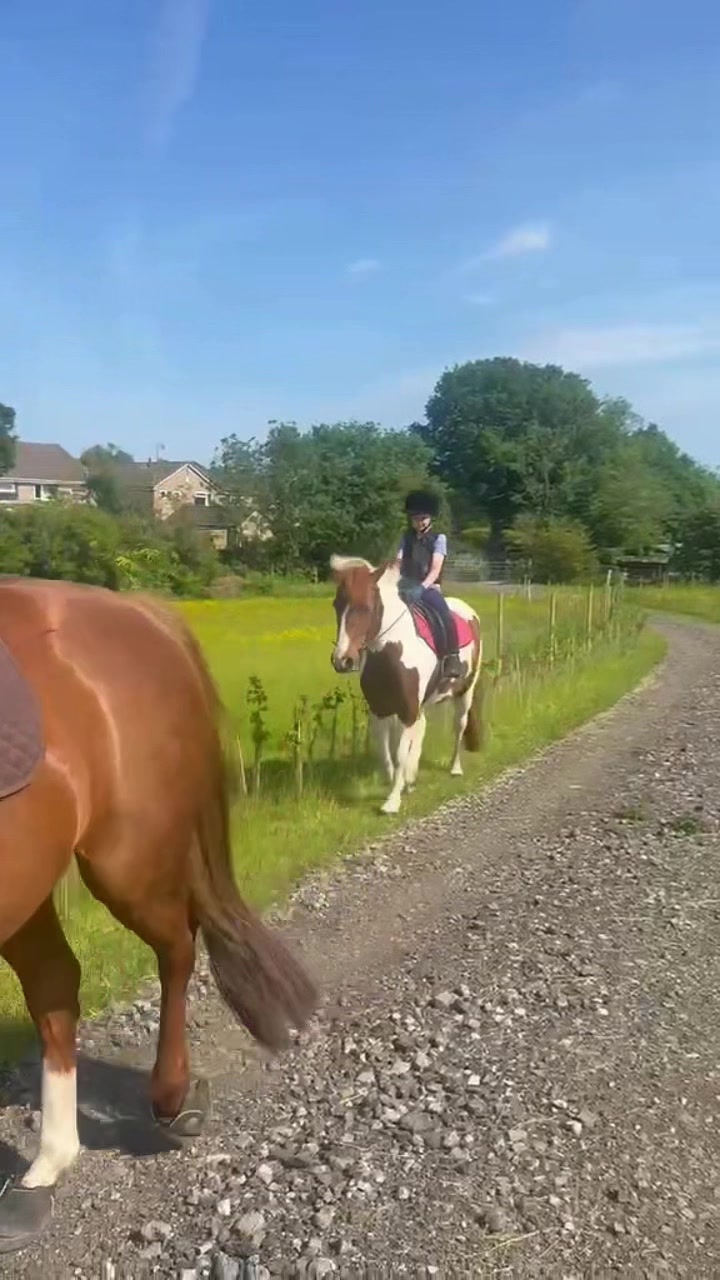 @LottiesHorseAdventures🦄🐴