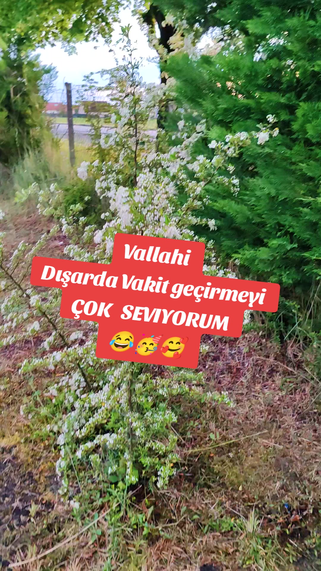 @❤️Kara_Sevda❤️