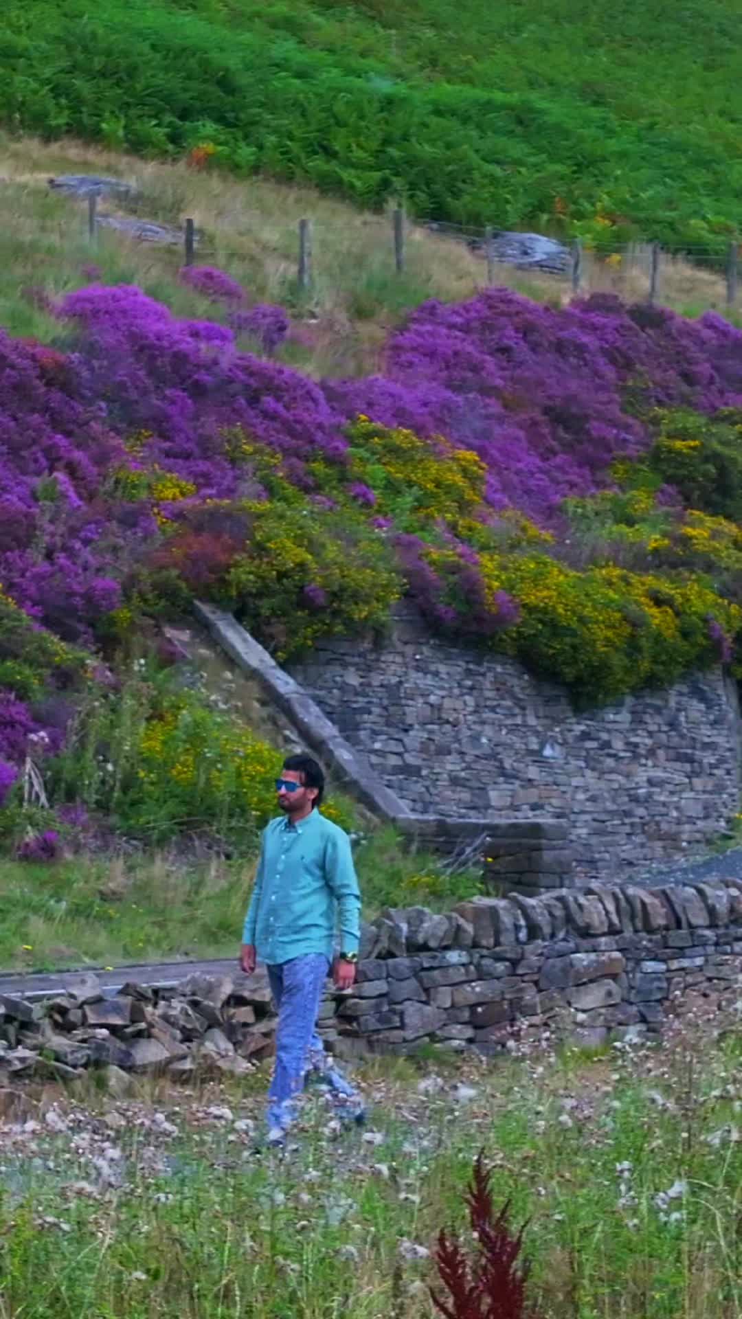 @tuseef786