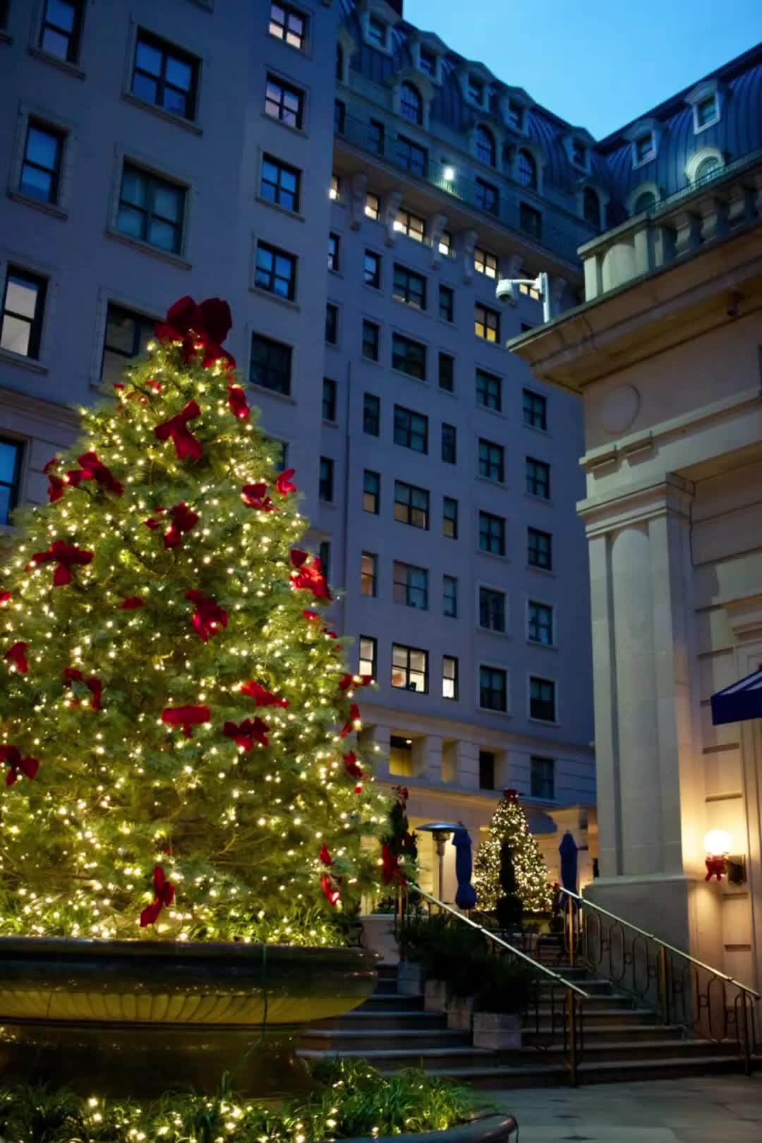 @☃️Wishing for Christmas 🎄