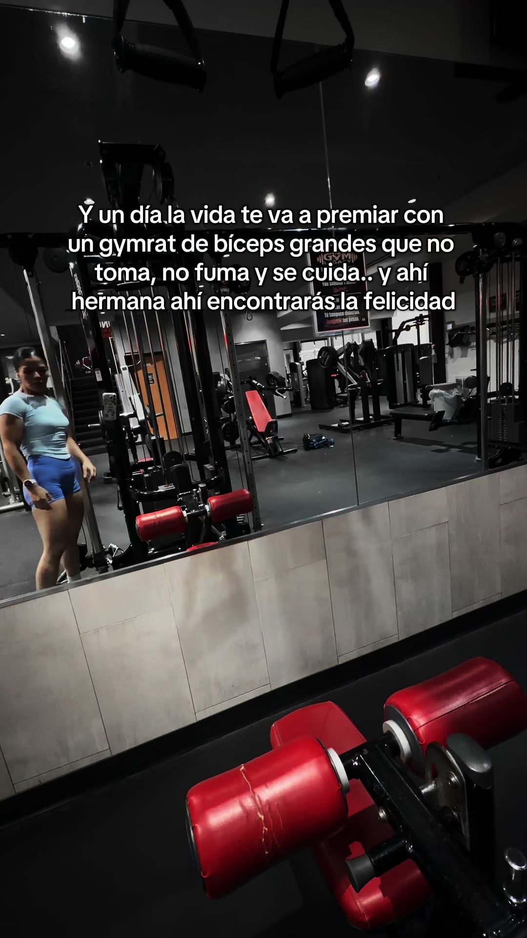 @andreamotac2