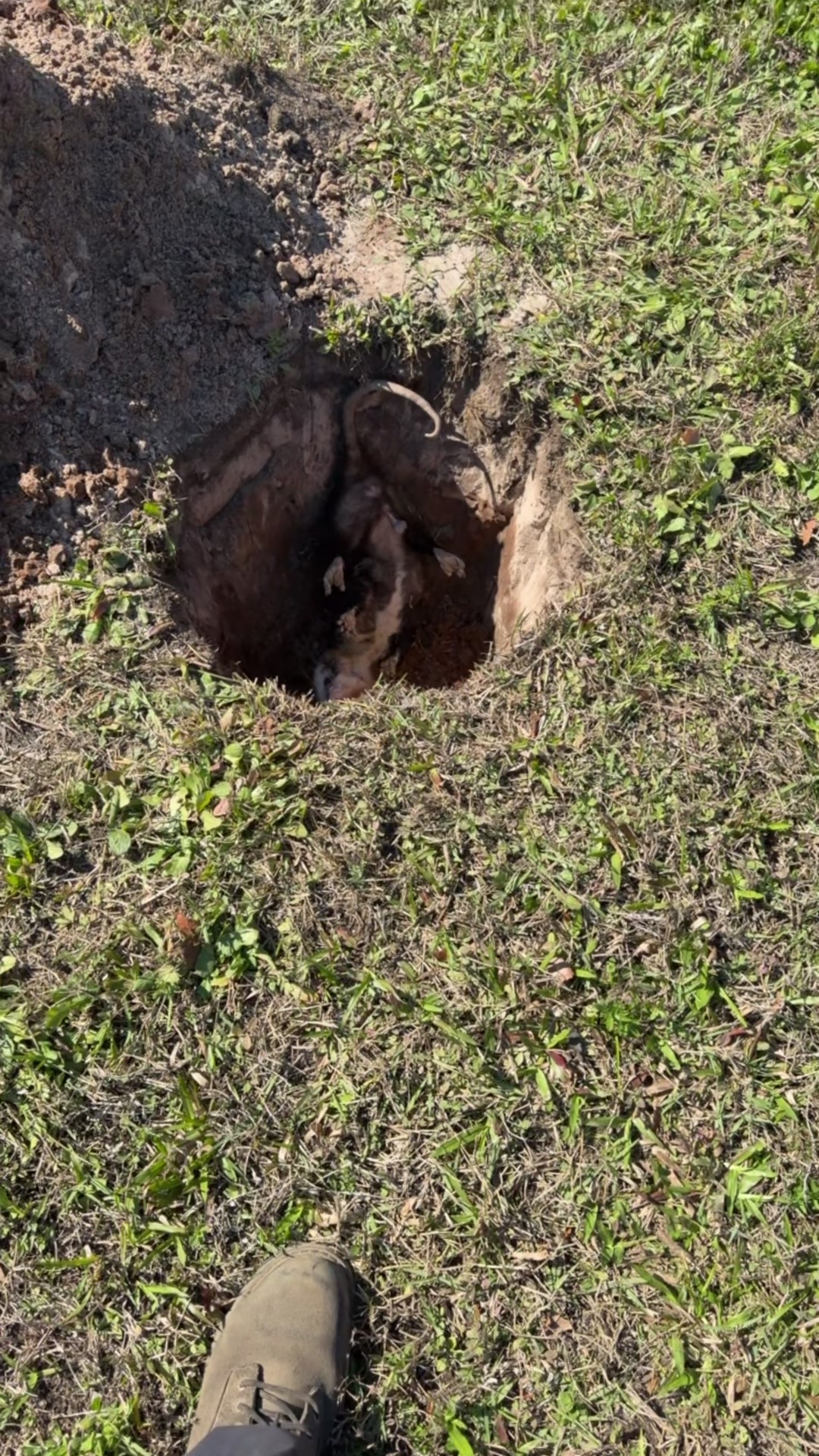 @#POSC #TrashLife 💩