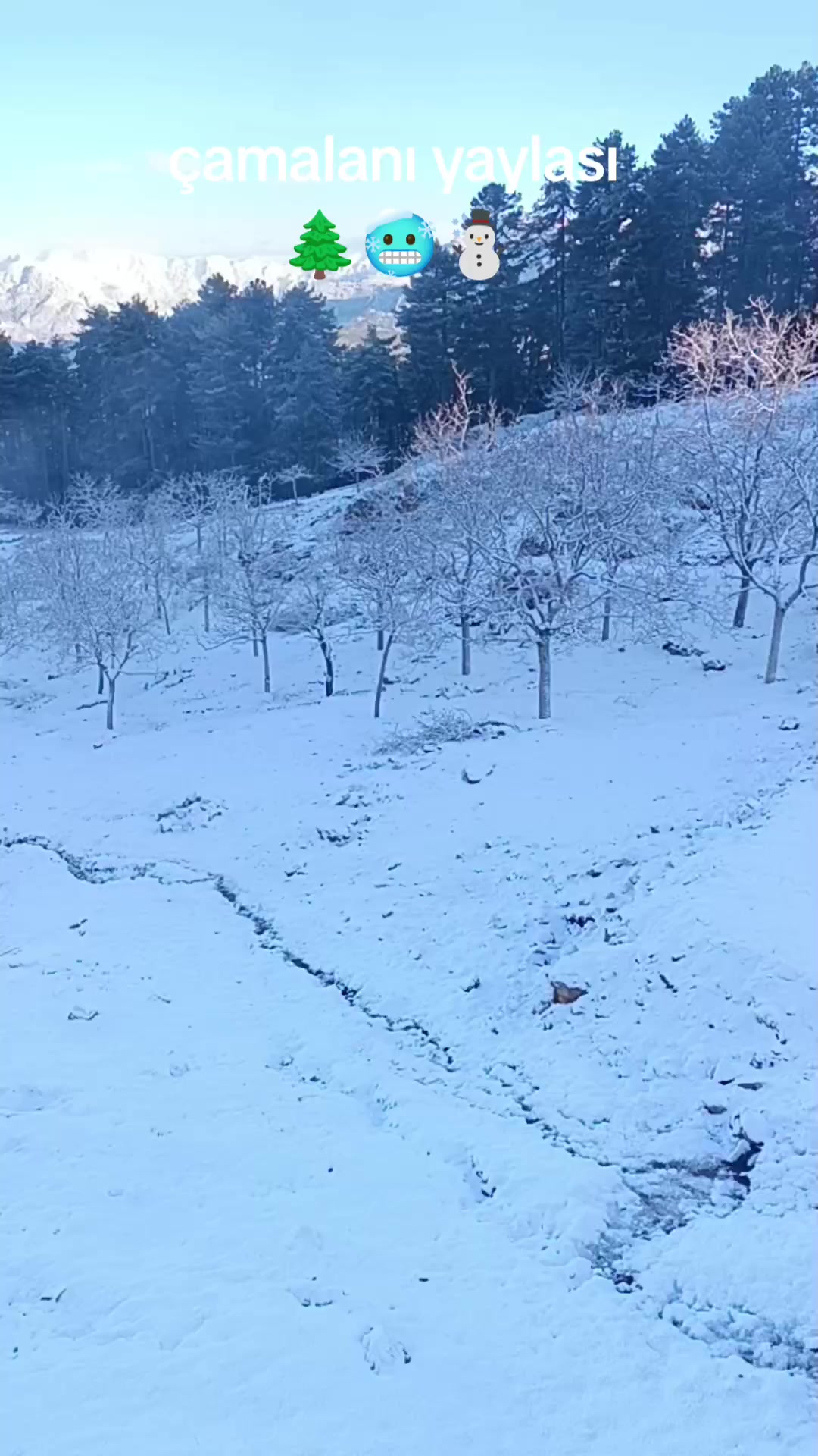 @mutlu DURUSOY