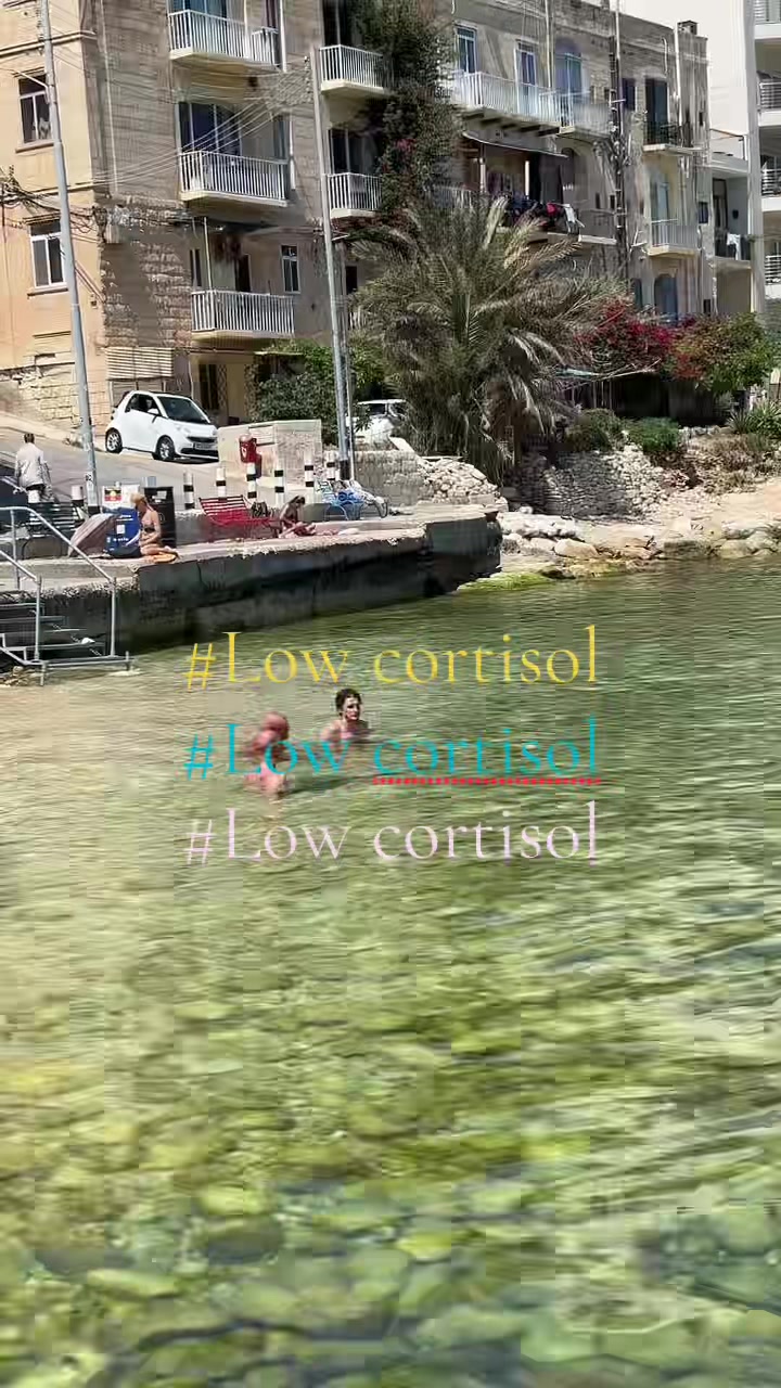 @malta mess ๐บ๐ผ๐ชฉ