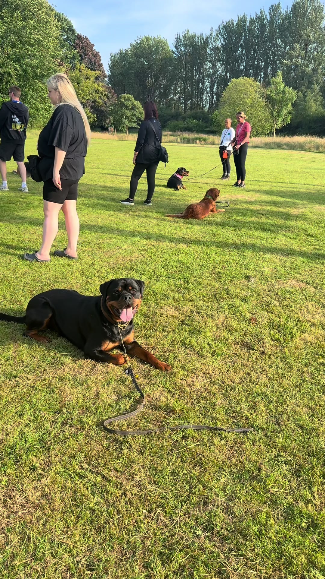 @PAWS2TRAIN 🖤🧡