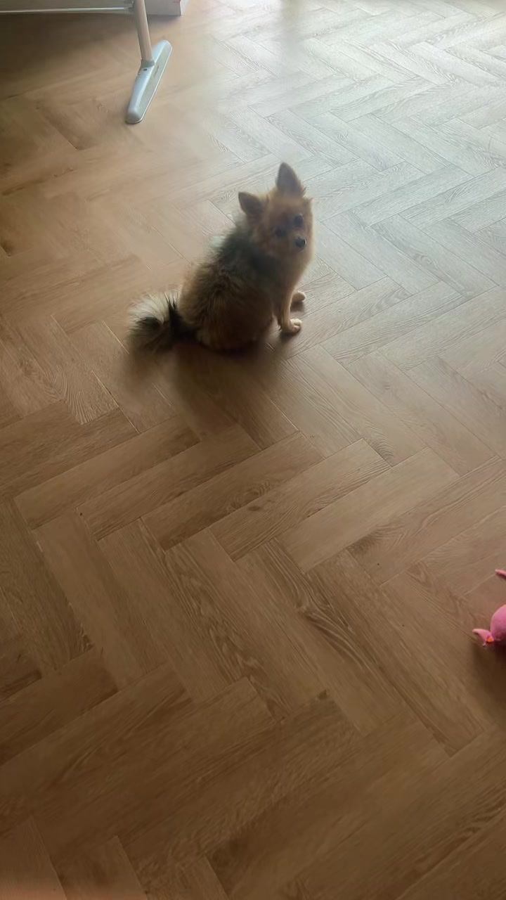 @celine.laura26