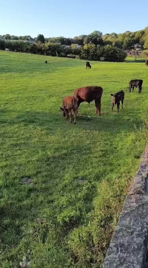 @Animal & Nature Lovers