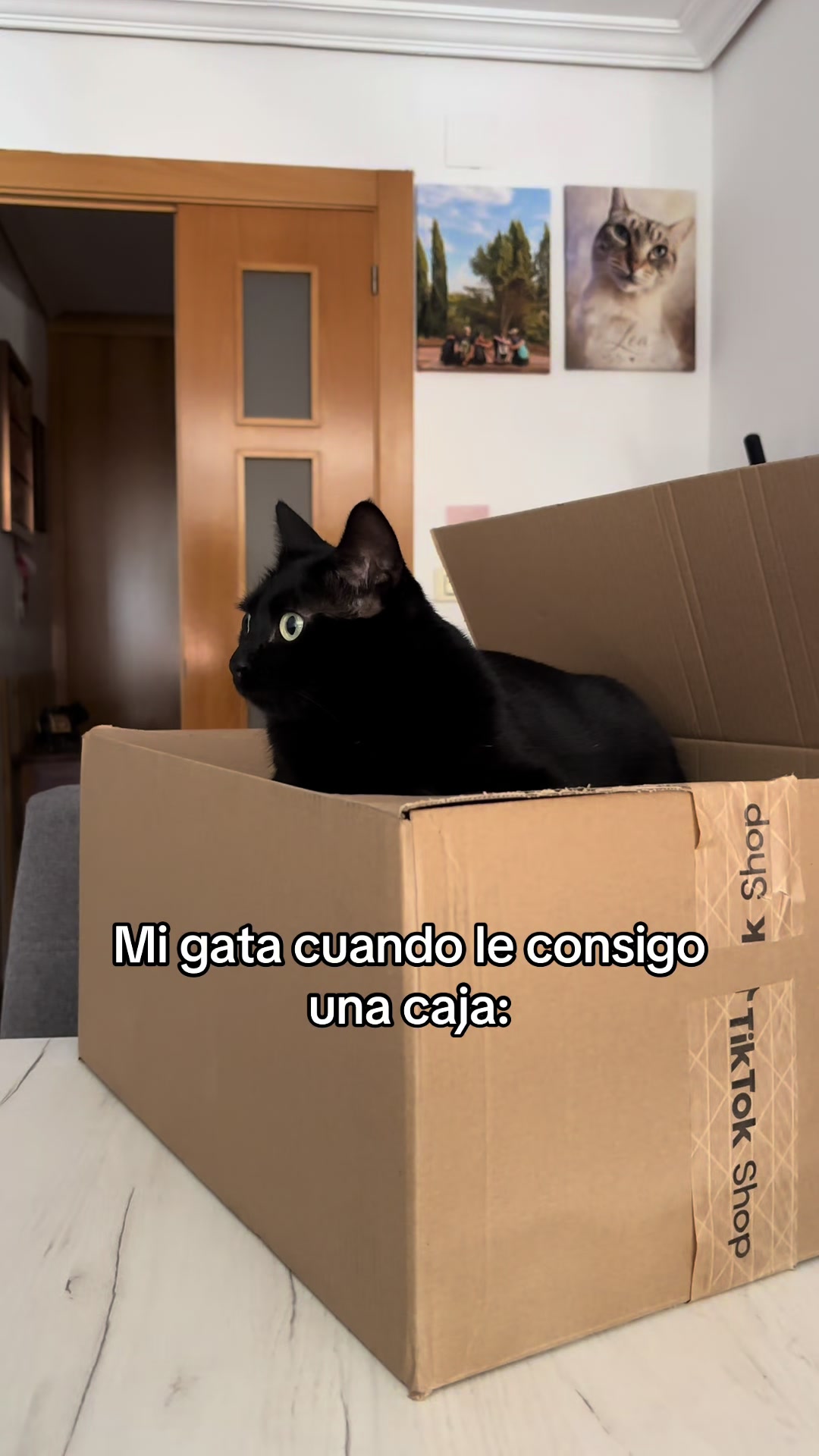 @BlackCatsMatter