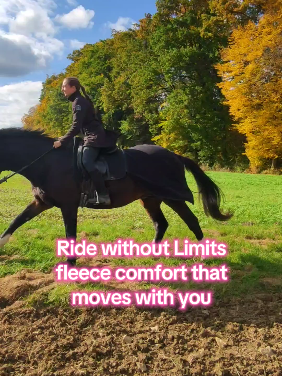 @Die Reitdecke