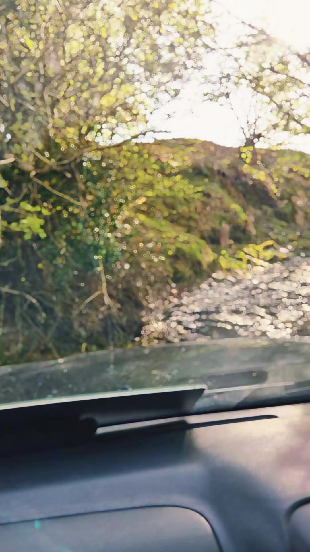 @slate and steel 4x4