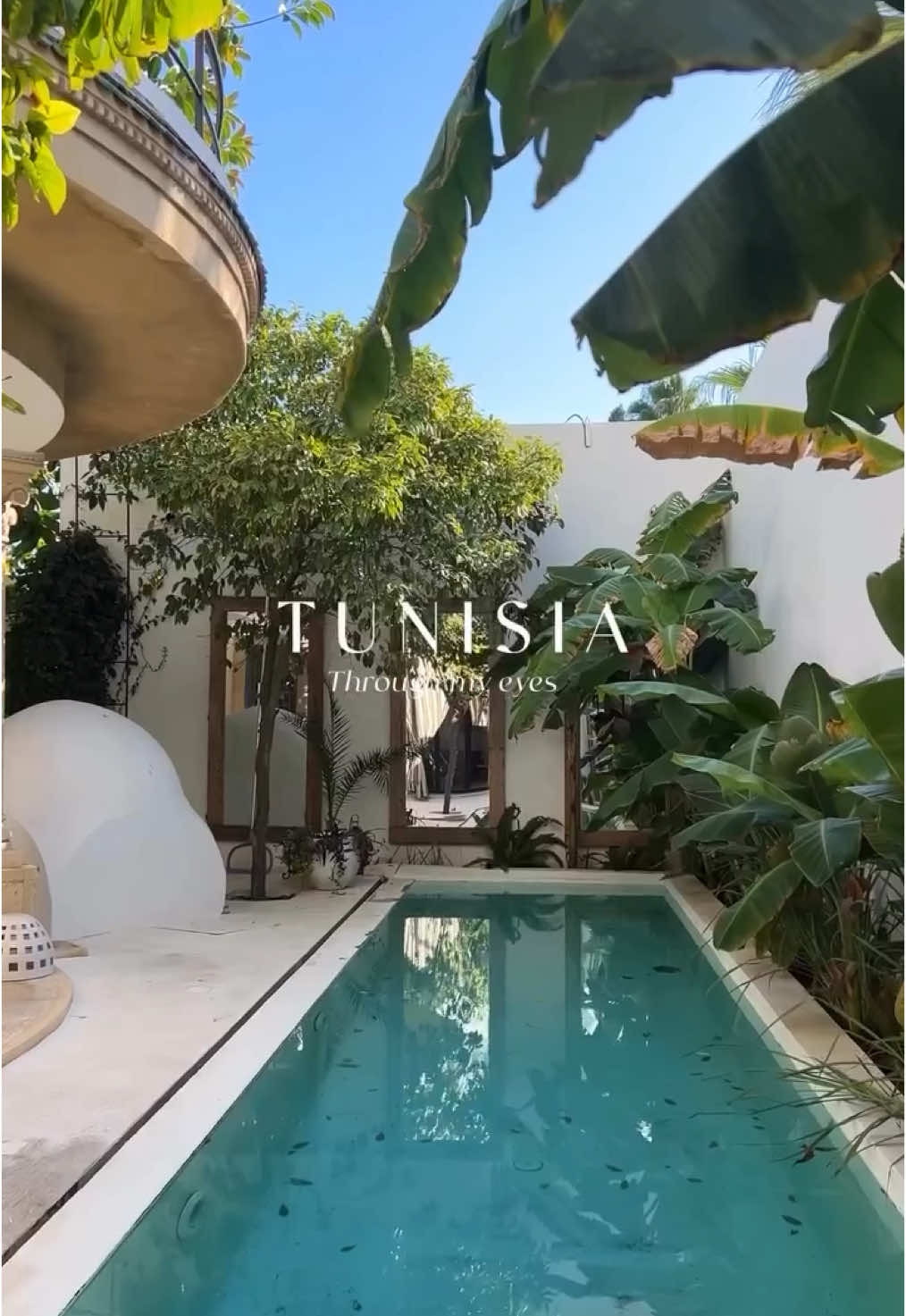 @Tunisian Country ๐น๐ณ๐ฆ