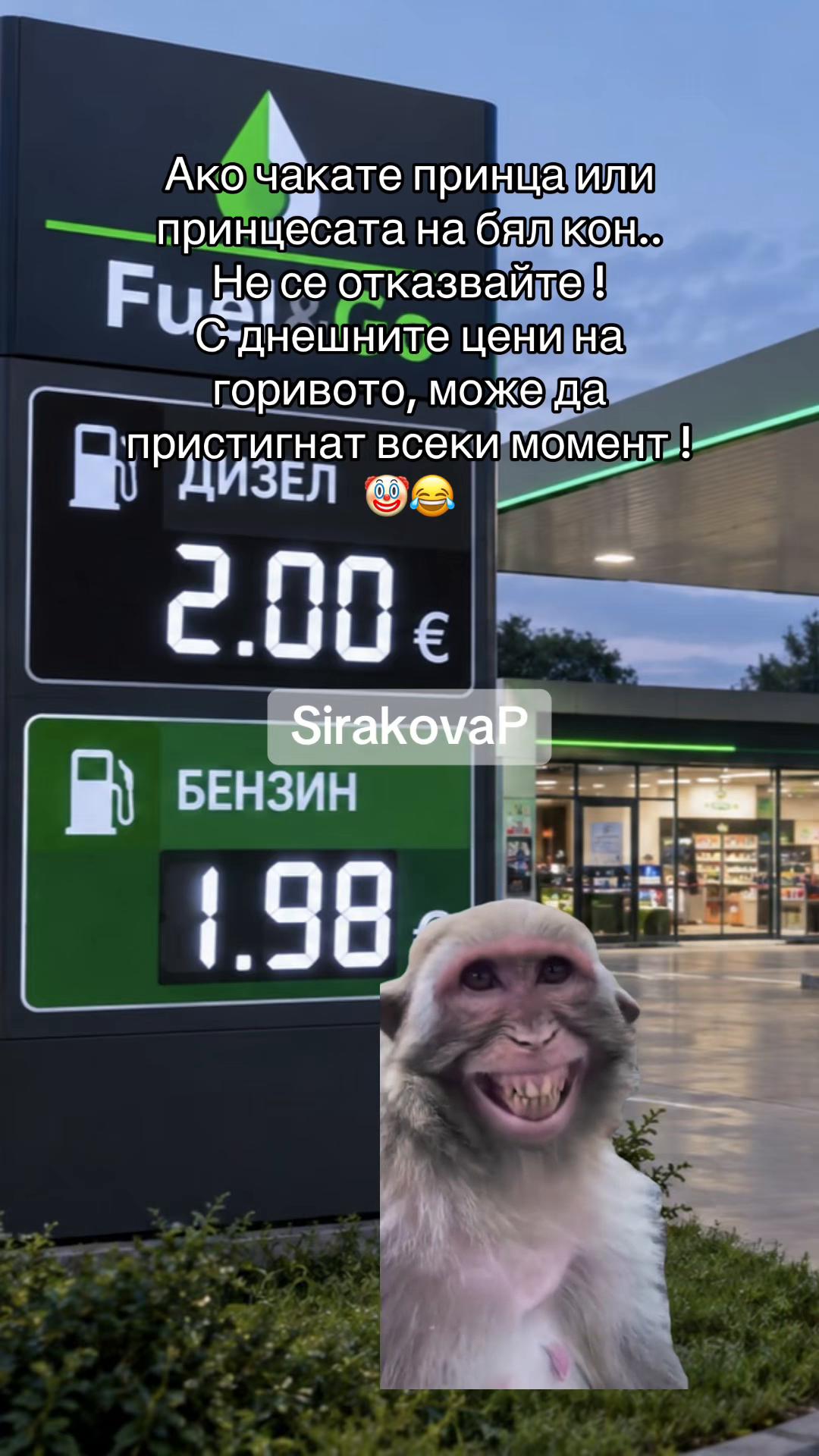 @Павлина Куцева-Сирак