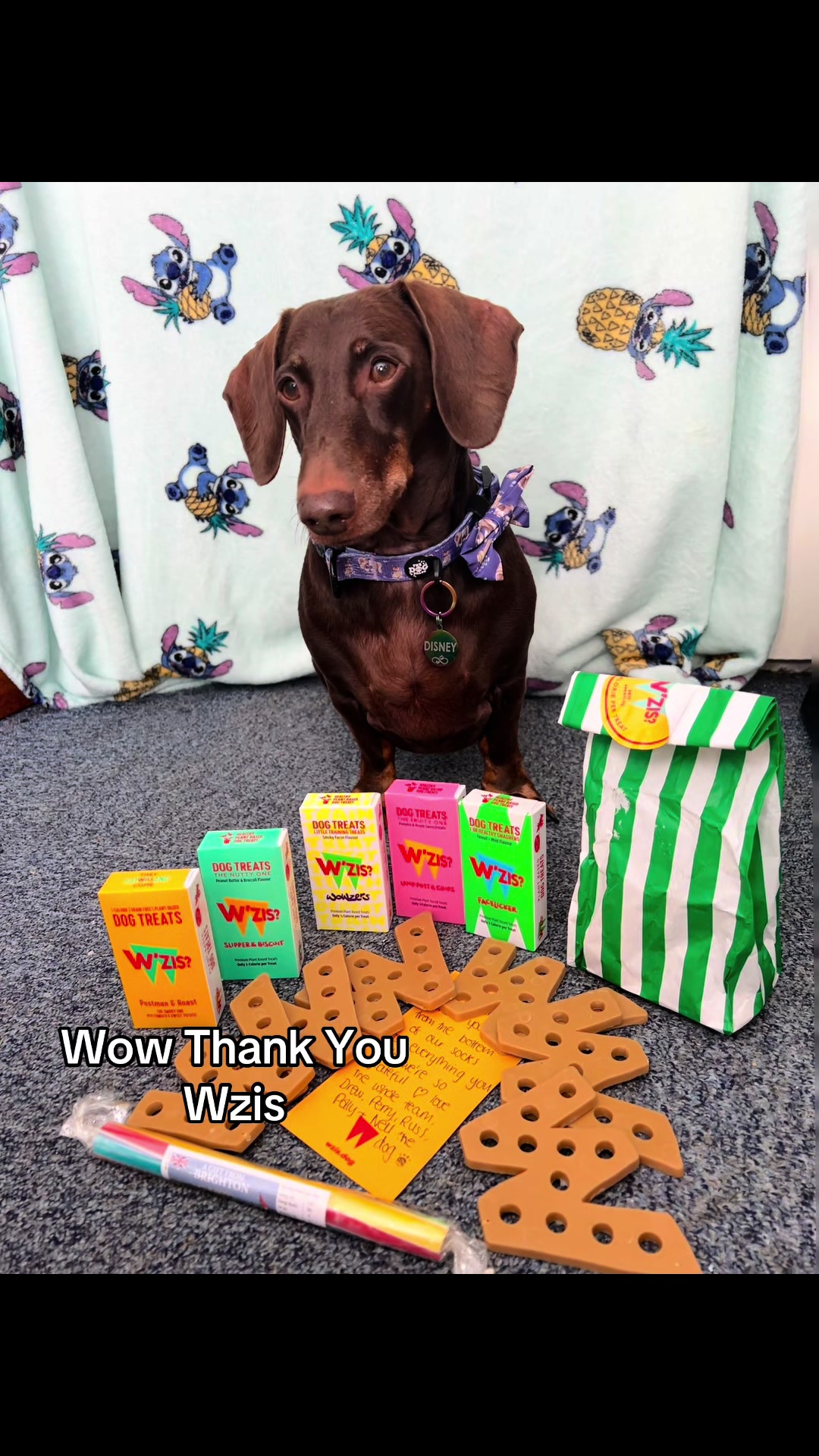@disneythedachshund