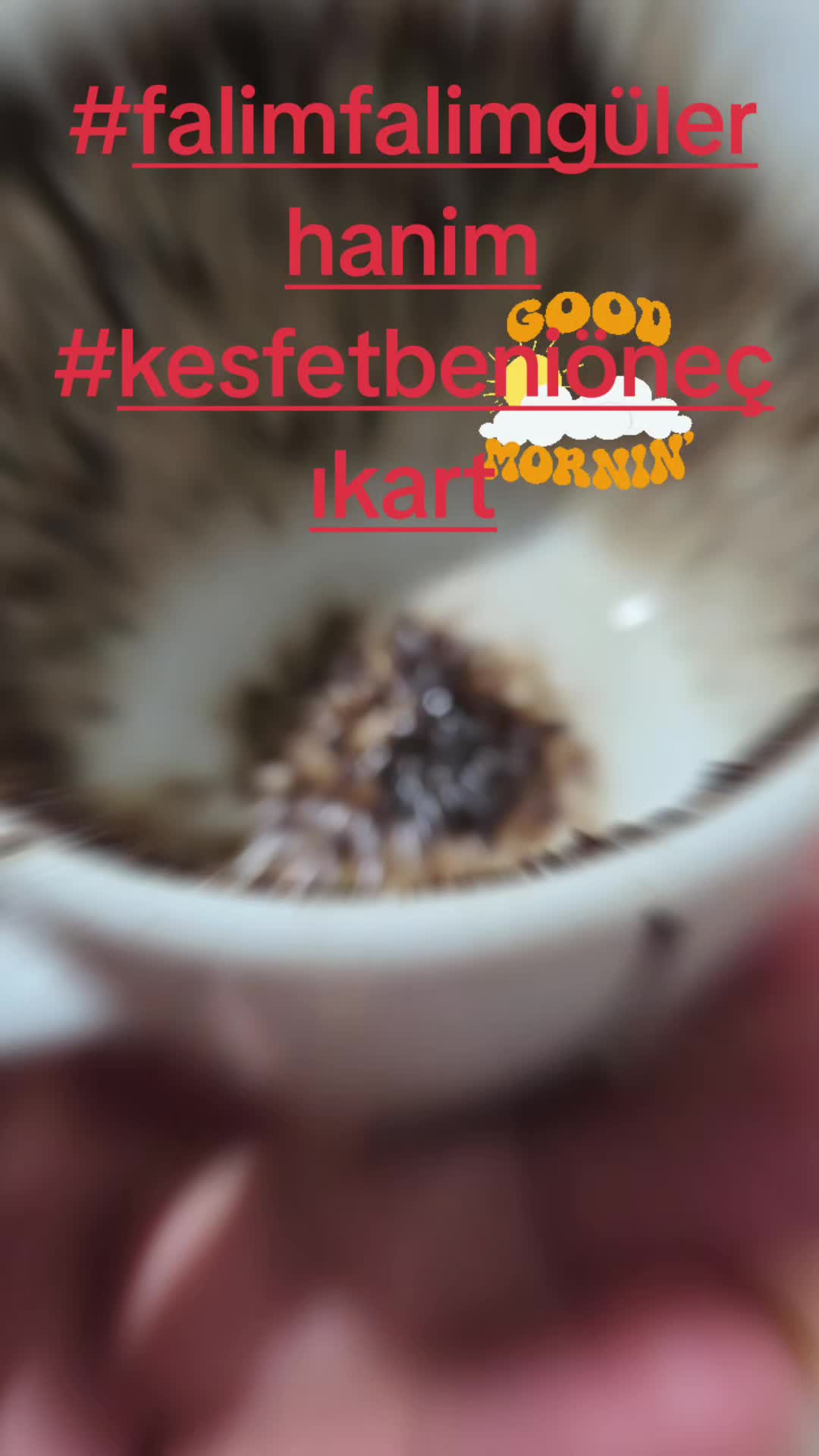 @Falim Falim Güler Hanim ☕️🪬🍀