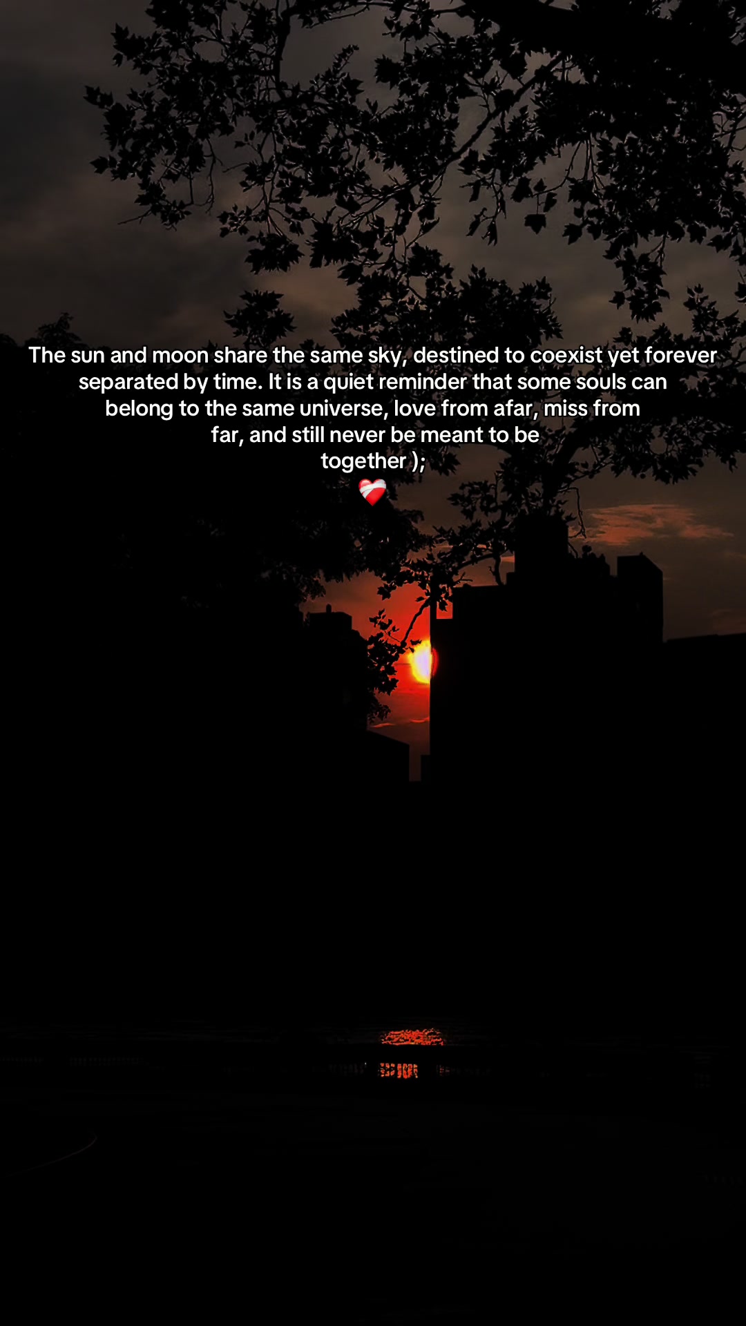 @🌻 Shikarni 🕊️ The Reaper 🪷