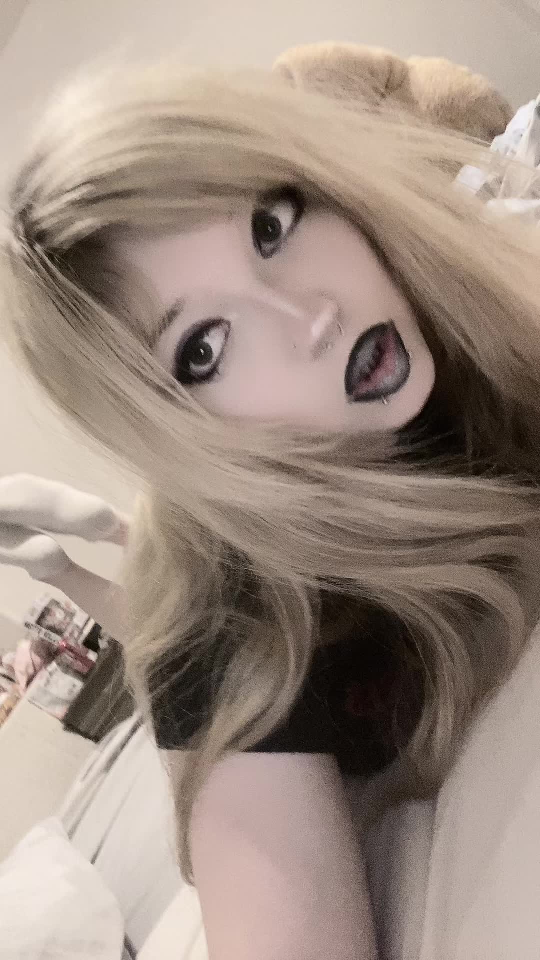 @🐾