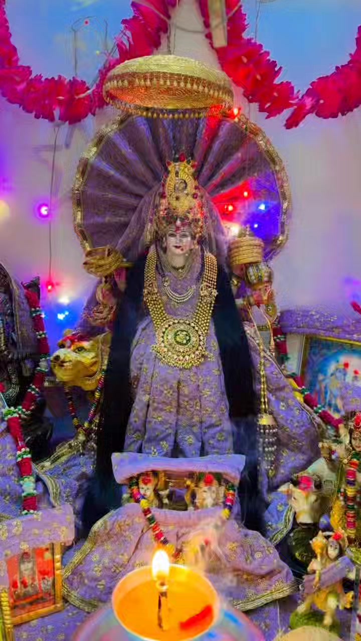 @bijayyadav6949