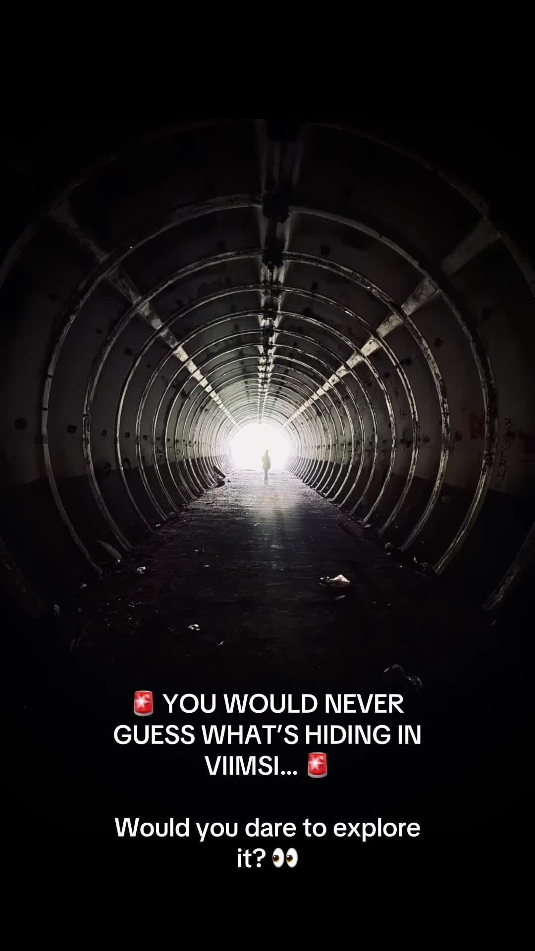 @ginfluencerestonia