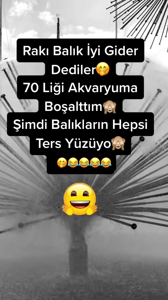 @✨🤍Ayliz_S🤍✨