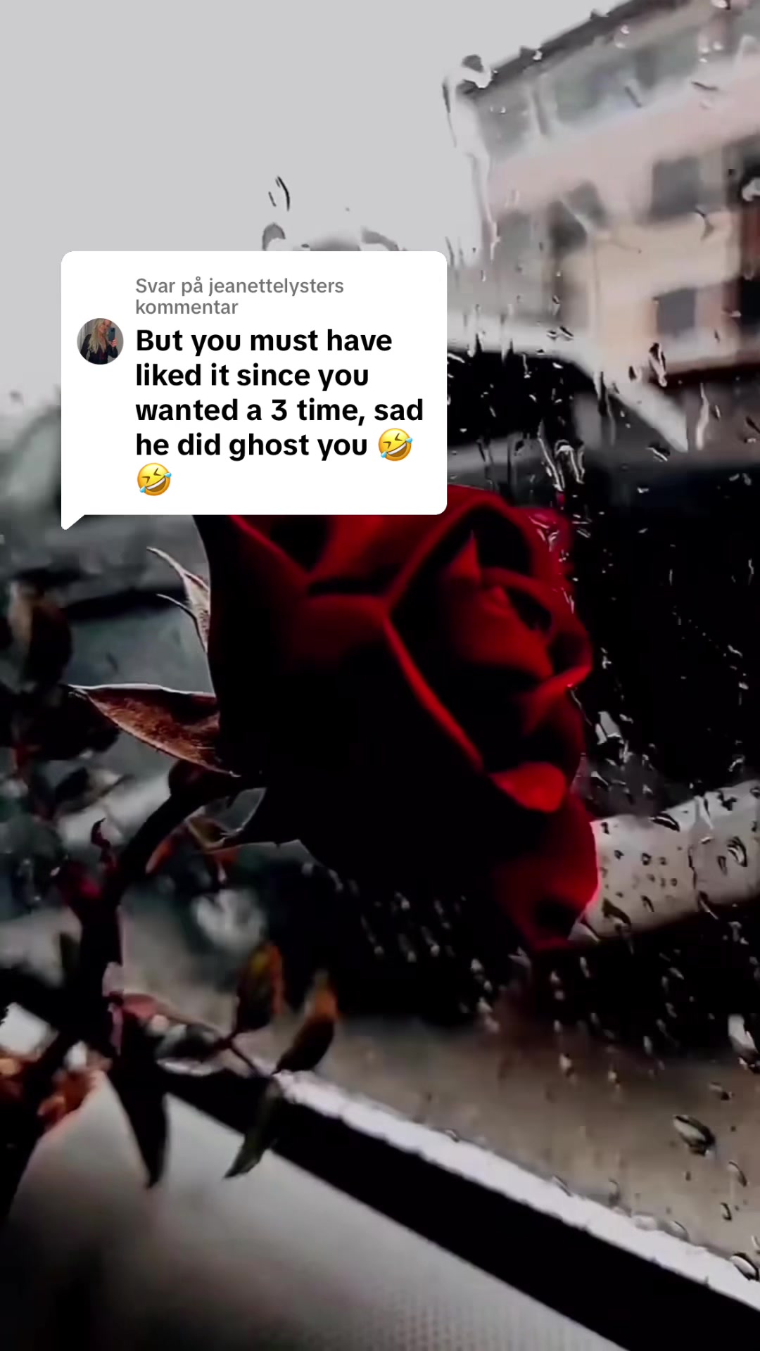 @jeanettelyster