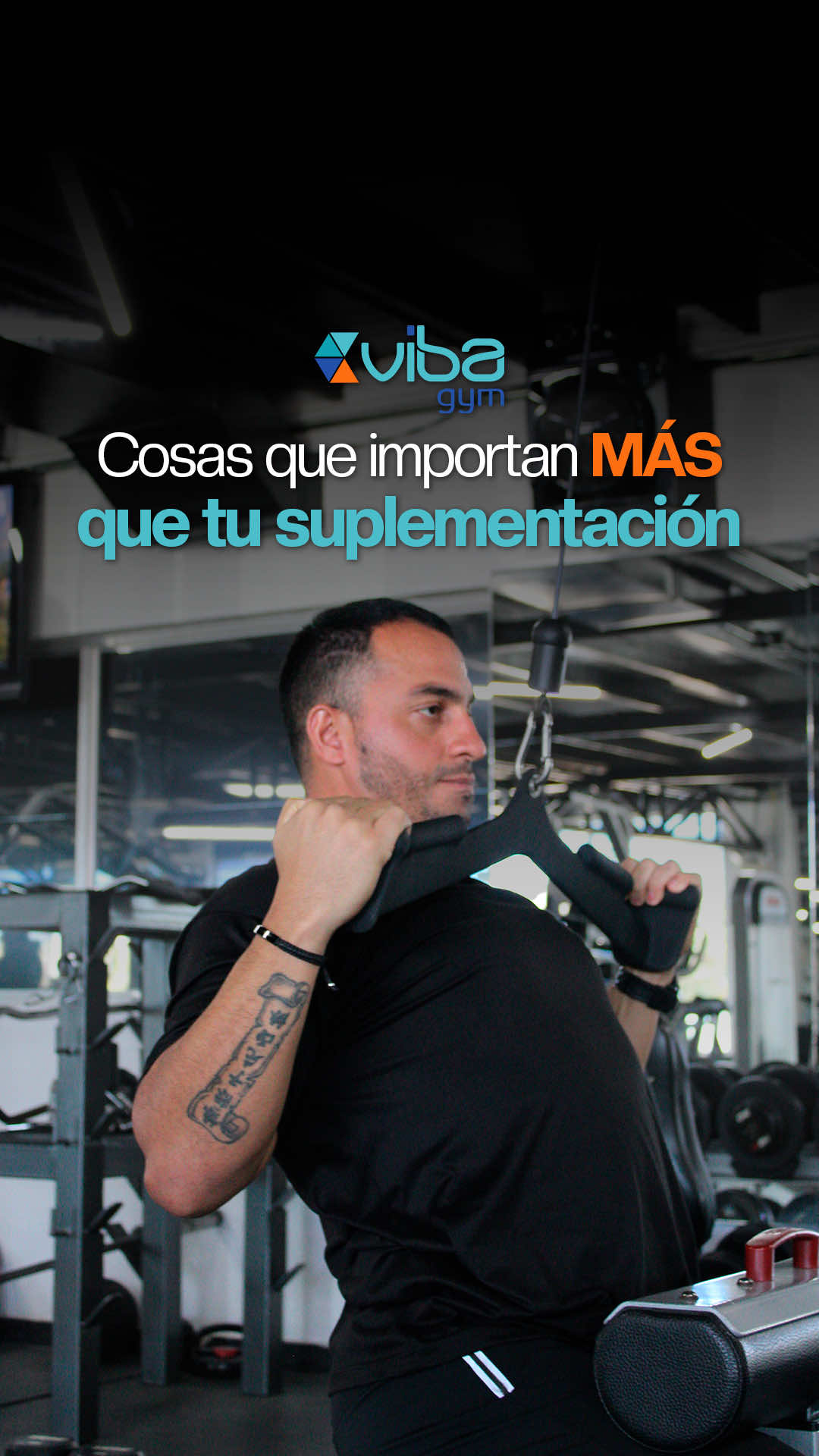 @Vibagym