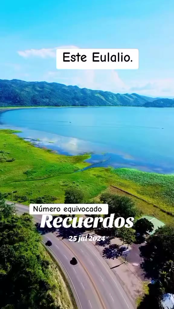 @wil urquia 🧸🍀