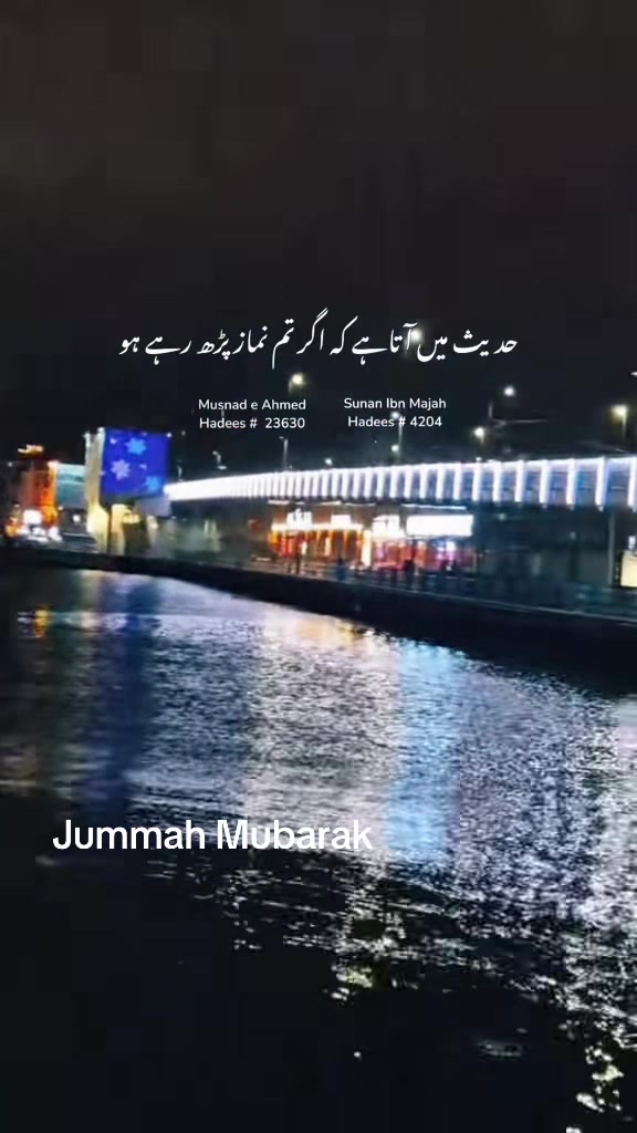 @Vaneeza khan🏴