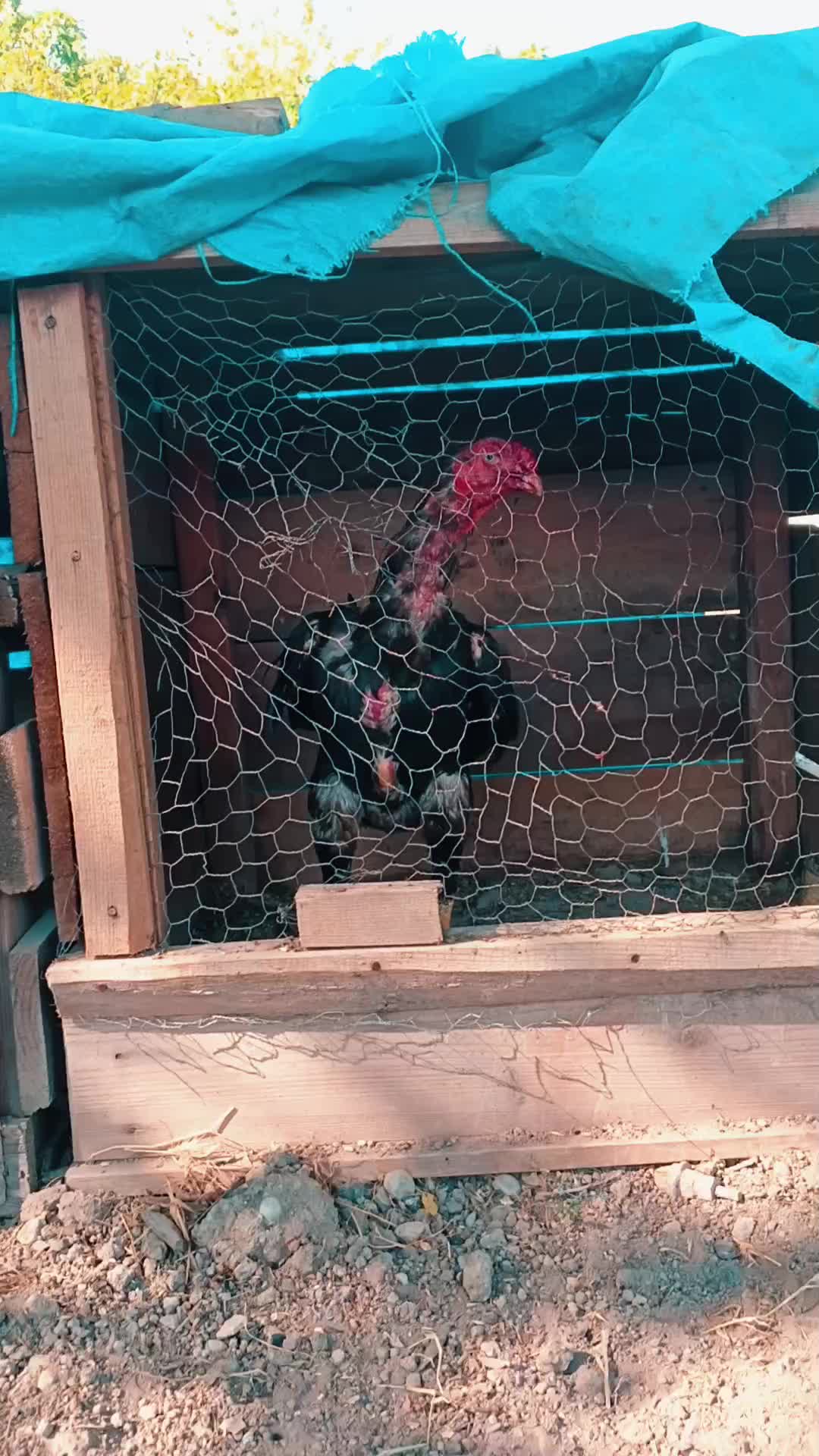 @H&uuml;seyin _t&uuml;fekli 🦅