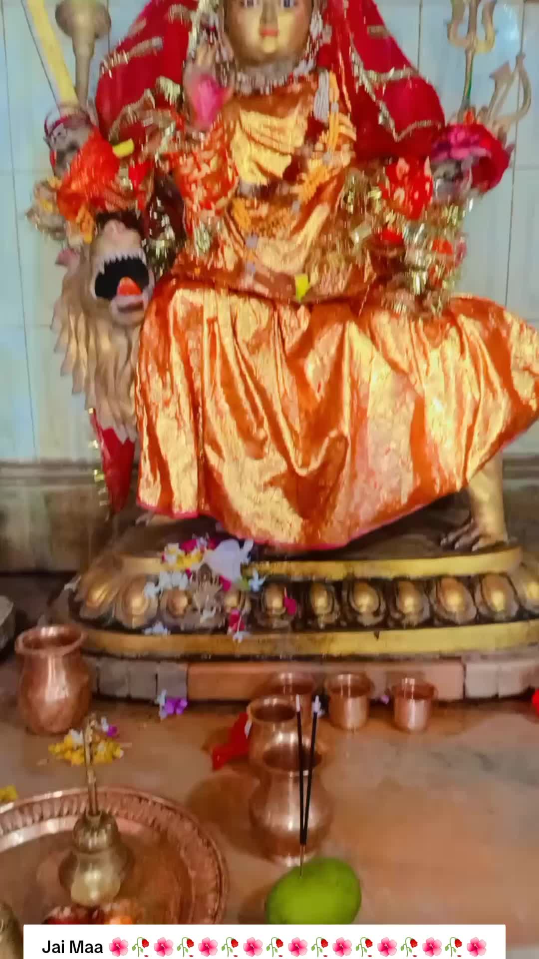 @SharbanSunitaRoyYadav861🤞❣